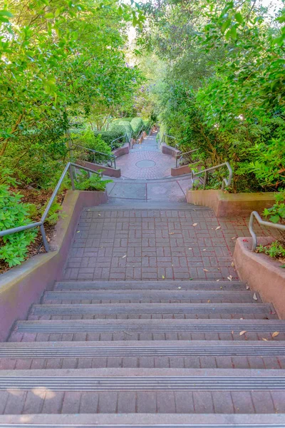 High angle view of stairs with red concrete block steps at San Francisco, California. Outdoor stairs on a slope with trees and plants on the sides.