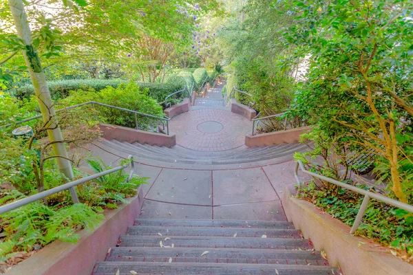 Наружная Лестница Склоне Растениями Деревьями Сбоку Сан Франциско Калифорния Высокий — стоковое фото