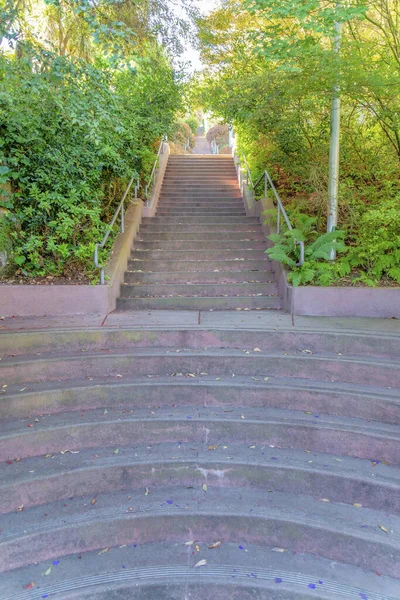 Cocrete perron stairway with curved steps at the front and straight staircase at the back. Staircase on a slope with trees and plants at the side near the metal handrails.