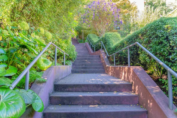 Concrete staircase with metal railings in an outdoor park at San Francisco, California. Stairs with concrete block steps in the middle of fresh green plants and trimmed bushes on the right.