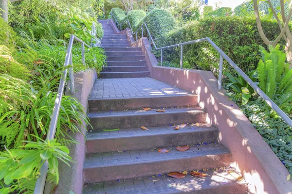 Outdoor Park San Francisco California Concrete Staircase Fresh Green Plants — Zdjęcie stockowe
