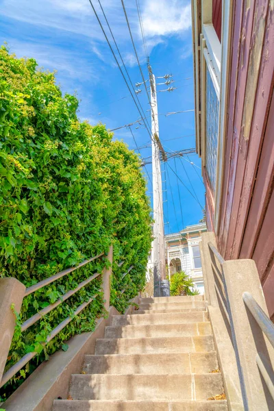 Outdoor stairs near the wall shrubs leading to a concrete electrical post in San Francisco, CA. Low angle view of a concrete stairs beside a house on the right.