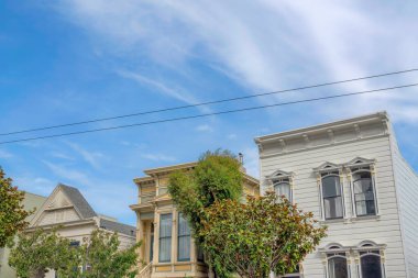 Facade of townhouses with trees at the front in the suburban area of San Francisco, California. Residential buildings exterior with traditional designs in a low angle view against the sky background.