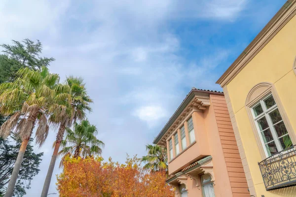 Palm trees and tree and houses in San Francisco, California. There are variety of trees on the left and houses on the right with peach and yellow wall exteriors on the right in a low angle view.