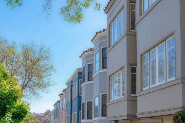 Row of townhouses on the right with bay windows against the clear sky in San Francisco, California. There are trees on the left across the townhouses on the right.