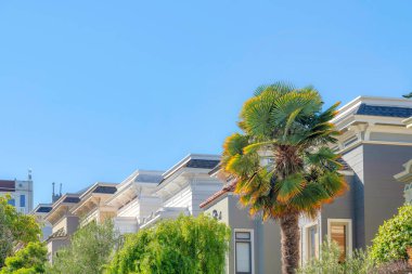 Layered view of house structures in the suburbs of San Francisco, California. Sloped residential area with trees outdoors and a top view of houses with brackets below its roofs.