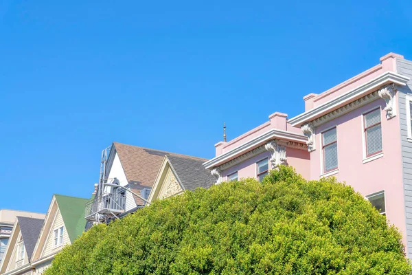 Big Green Lush Leaves Tree Front Residential House Buildings San — Stockfoto