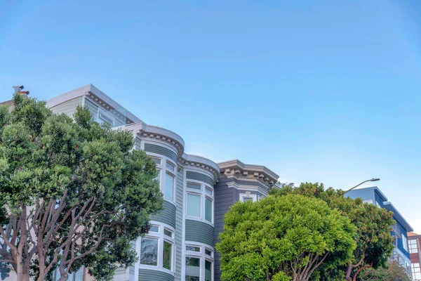 Trees Front Victorian Style Houses San Francisco California Trees Front — Stock Fotó