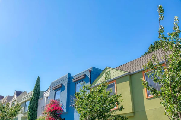Painted Colorful Houses Low Angle View San Francisco California Plants — 스톡 사진
