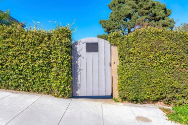 Painted arched wood gate in the middle of shrub walls in San Francisco, California. Gray arched wood gate with a sloped concrete pavement at the front and a tree against the clear blue sky background.
