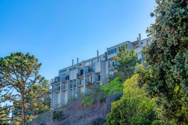 Large apartment building on top of a slope in San Francisco, California. There are trees and shrubs on the slope at the front of the apartment with balconies and flues.