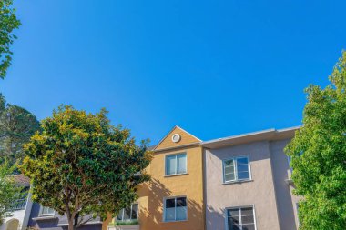 Facade of adjacent houses with painted stucco walls at San Francisco, CA. There are small trees covering the houses near the yellow house in the middle beside the light gray house on the right.