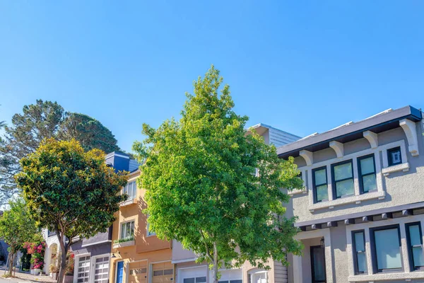 Trees at the front of sloped neighborhood in San Francisco, California. Front exterior of houses with different architectural designs and attached garages.