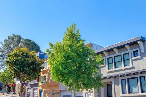Trees Front Sloped Neighborhood San Francisco California Front Exterior Houses — 스톡 사진