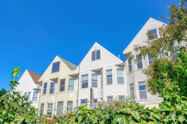 Adjacent traditional houses with gable roofs against the clear blue sky at San Francisco, California. There are plants at the front of the houses with bay windows.