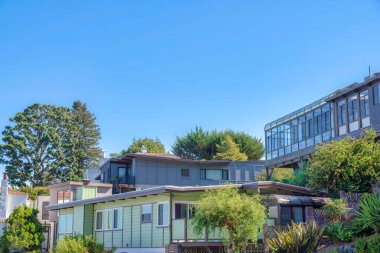 Large houses surrounded by trees against the sky background in San Francisco, CA There is a house at the top with floor to ceiling windows above the house with balcony and a green house at the front.