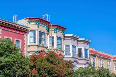 Side view of flat apartment buildings at San Francisco, California. There are trees at the front of colorful adjacent residential buildings against the clear blue sky background.