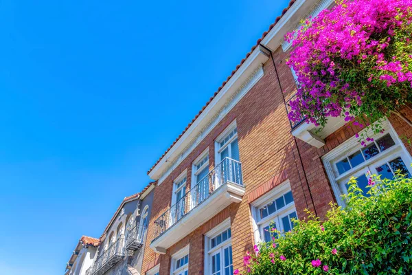 House with red bricks and paned windows in San Francisco, CA. Exterior of a house with window railings and bougainvillea plants crawling at the front.