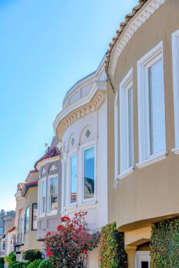 Side view of houses with ornamental plants at the front in San Francisco, CA. Home exterior with decorative frieze and painted stucco walls.