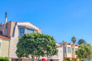 Lush trees at the front of the urban neighborhood in San Francisco, CA. Houses facade with stucco walls against the clear blue sky background.
