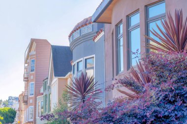 Purple shrubs at the front of row of houses at San Francisco, California. Row of townhomes and apartment building with emergency stairs.