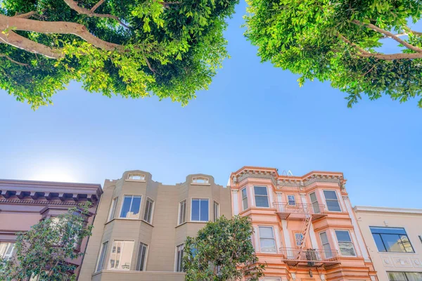 View of flat apartments and lush trees from below at San Francisco, CA. Two trees above the row of houses with decorative exterior and there is one building on the right with emergency stairs.