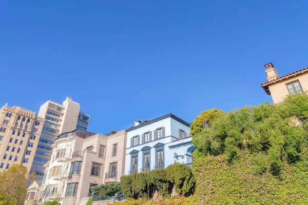 Row of european houses in a neighborhood in San Francisco, CA near the mid-rise buildings. Large houses with railings at the entrance on top of a green slope with plants and trees.