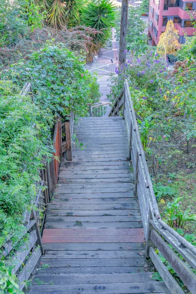 Wooden Outdoor Staircase Slope Trees Plants Side San Francisco High — 스톡 사진