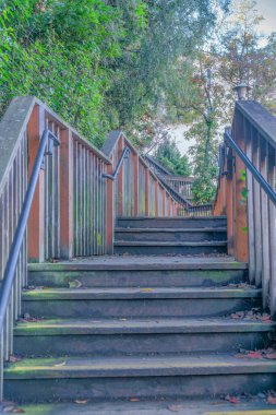 Outdoor wood stairs with moss stains and fallen leaves on the side of the steps- San Francisco, CA. Staircase with metal handrails attached to its wooden railings and a view of trees at the back.