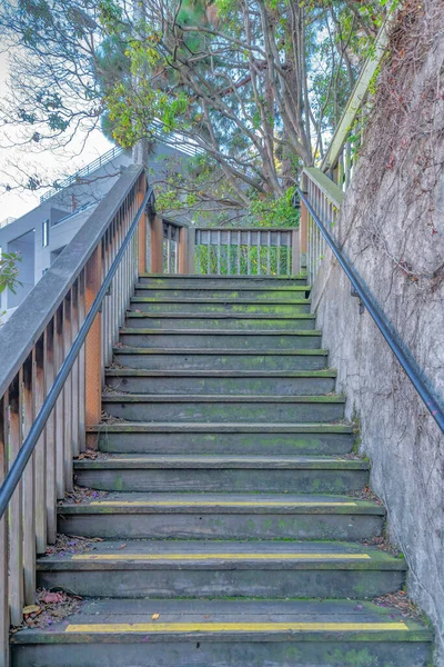 Weathered Outdoor Stairs Stained Moss San Francisco Staircase Wall Mounted — Foto Stock