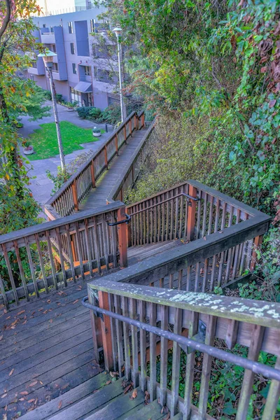 Weathered Wood Stairs Boardwalk Slope Plants San Francisco Wood Pathway — Stockfoto