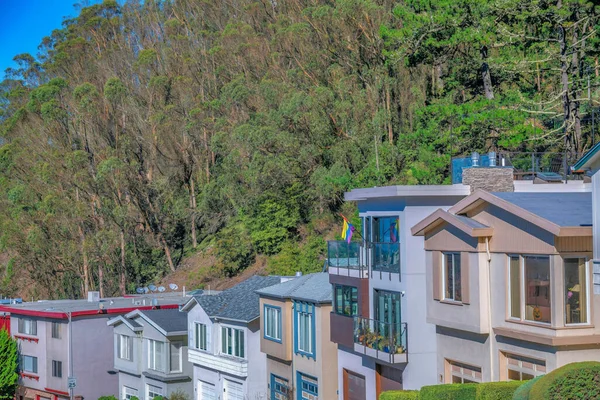 Large house buildings on a slope near the woods at San Francisco, California. Row of houses with different architectural exterior against the trees on a slope at the back.