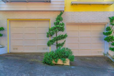 Attached garage of townhouses with beige garage doors near the topiary shrubs in San Francisco, CA. Driveway of two townhouses with wood lap siding on the left and yellow wall on the right.