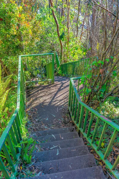 Outdoor stairs on a slope with concrete steps and painted green metal railings- San Francisco, CA. High angle view of a stairs with landing in the middle of wild shrubs and trees.