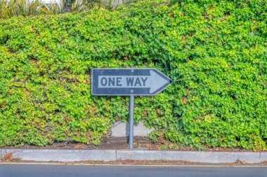 One way sign pointing to the right against the green vines - San Francisco, California. Floor-mounted street sign near the wall with crawling plants.