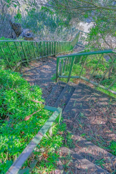 Outdoor stairs with fallen leaves on the concrete steps and painted green metal railings. Nature trail in San Francisco, California with wild shrubs and trees on the side.