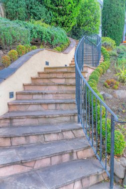 Staircase with concrete steps and metal railings near the bushes- San Francisco, CA. Stairs with half wall on the left and metal railings on the right leading to an entrance with shrub trees.