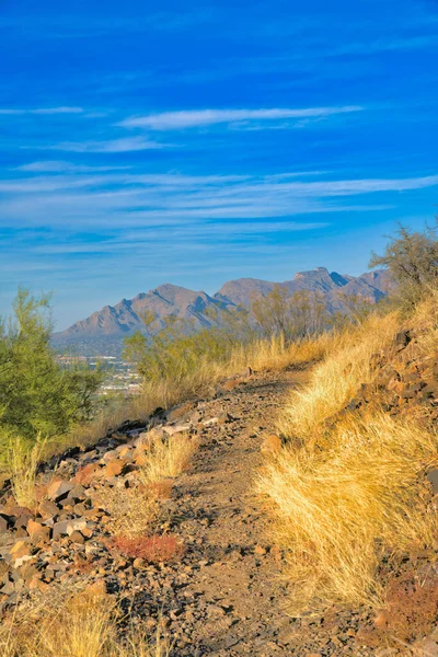 Rough Trail Mountain Slope Tucson Arizona Trail Grasses Side View — Stockfoto