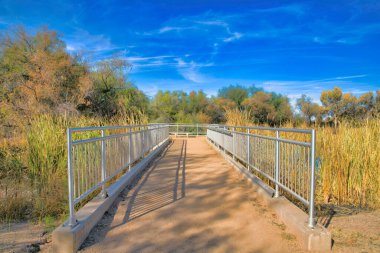 Walkway with metal railings and view deck at Sweetwater Wetlands- Tucson, Arizona. Trail with metal barrier in the middle of wild plants and trees against the blue sky.