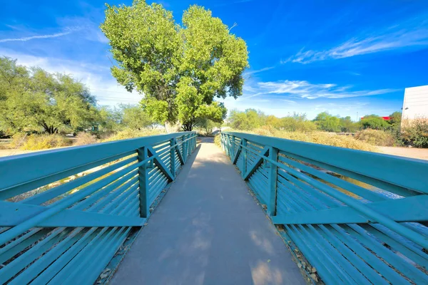 Bridge Concrete Pathway Metal Railings Sweetwater Wetlands Tucson Arizona Pathway — Stock fotografie