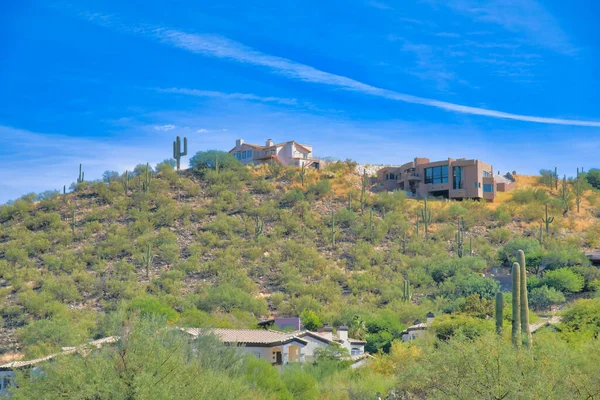 Modern mediterranean houses at the side and on the top of a hill- Tucson, Arizona. Residences on a slope with saguaro cactuses and green shrubs.