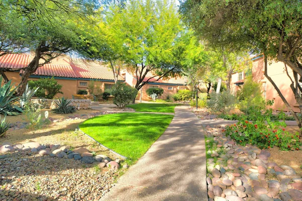 Walkway Plants Lawn Side Mediterranean Houses Tucson Arizona Narrow Walkway — Foto de Stock
