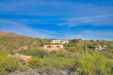 Large houses on a mountainside area with cactuses at Tucson, Arizona. There are saguaro cactuses surrounding a neighborhood against the sky.