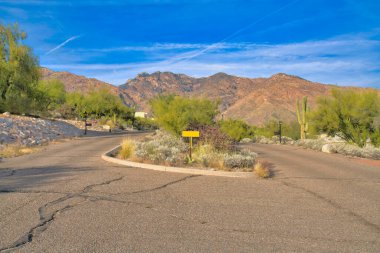 Cracked curved road against the mountains at Tucson, Arizona. There are shrubs and sign in the middle of the road and there are lights on both sides.