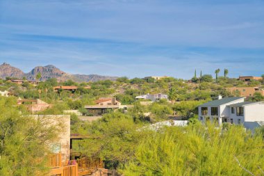 Upper middle class neighborhood in the suburbs of Tucson, Arizona. There are trees and plants partially covering the view of large residences near the mountain at the back.