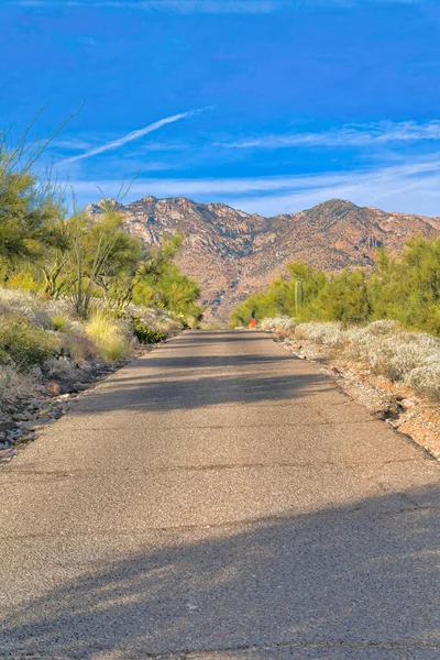 Concrete Road Crack Lines Middle Wilderness Mountain Tucson Arizona Straight — Stockfoto