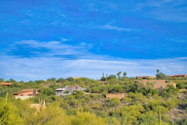 Residences on a slope with wild plants and cactuses at Tucson, Arizona. There are houses surrounded by a shrubland against the blue sky at the background.