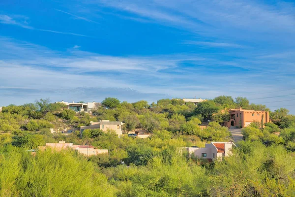 Sloped neighborhood with mediterranean houses in Tucson, Arizona. There are green plants and trees surrounding the upper middle class residences.