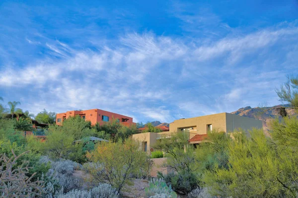Mediterranean houses on a slope with wild plants at Tucson, Arizona. Large residences with painted concrete walls against the sky background.