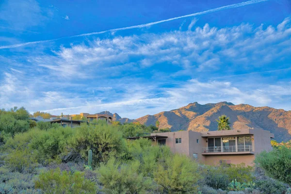 Sloped suburban houses against the mountain range in Tucson, Arizona. There are wild shrubs and cactuses at the front of the houses with painted stucco walls and balconies.